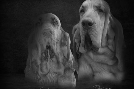 perseus and frida.jpg